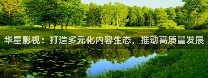 人人在线视频播放：华星影视：打造多元化内容生态，推动高质量发展