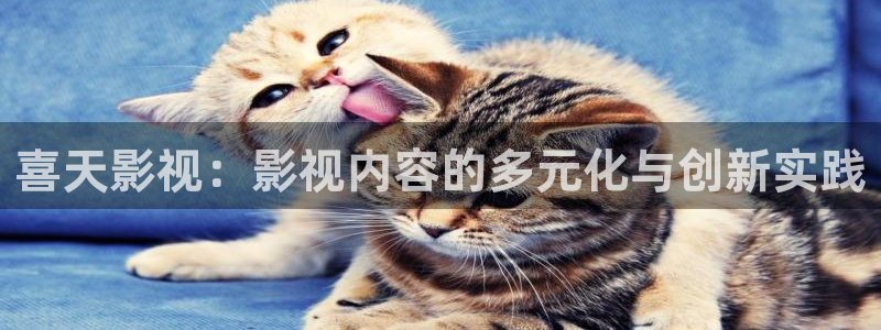 超碰在线人人射：喜天影视：影视内容的多元化与创新实践