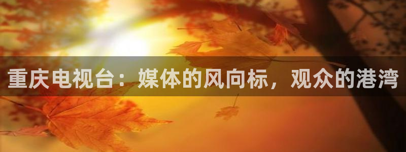 机器人人电影：重庆电视台：媒体的风向标，观众的港湾