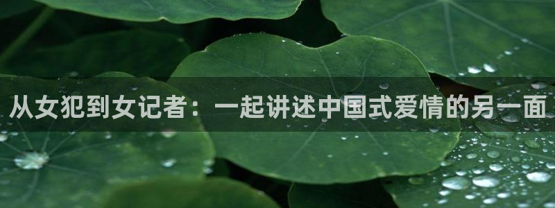 人人电影伦理：从女犯到女记者：一起讲述中国式爱情的另一面