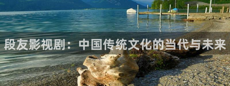 人人爽人人爽人人片a：段友影视剧：中国传统文化的当代与未来